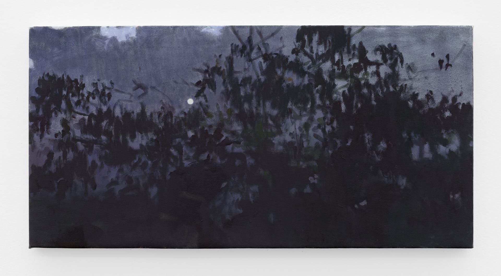 Luz de Luna by Elejandro Sintura