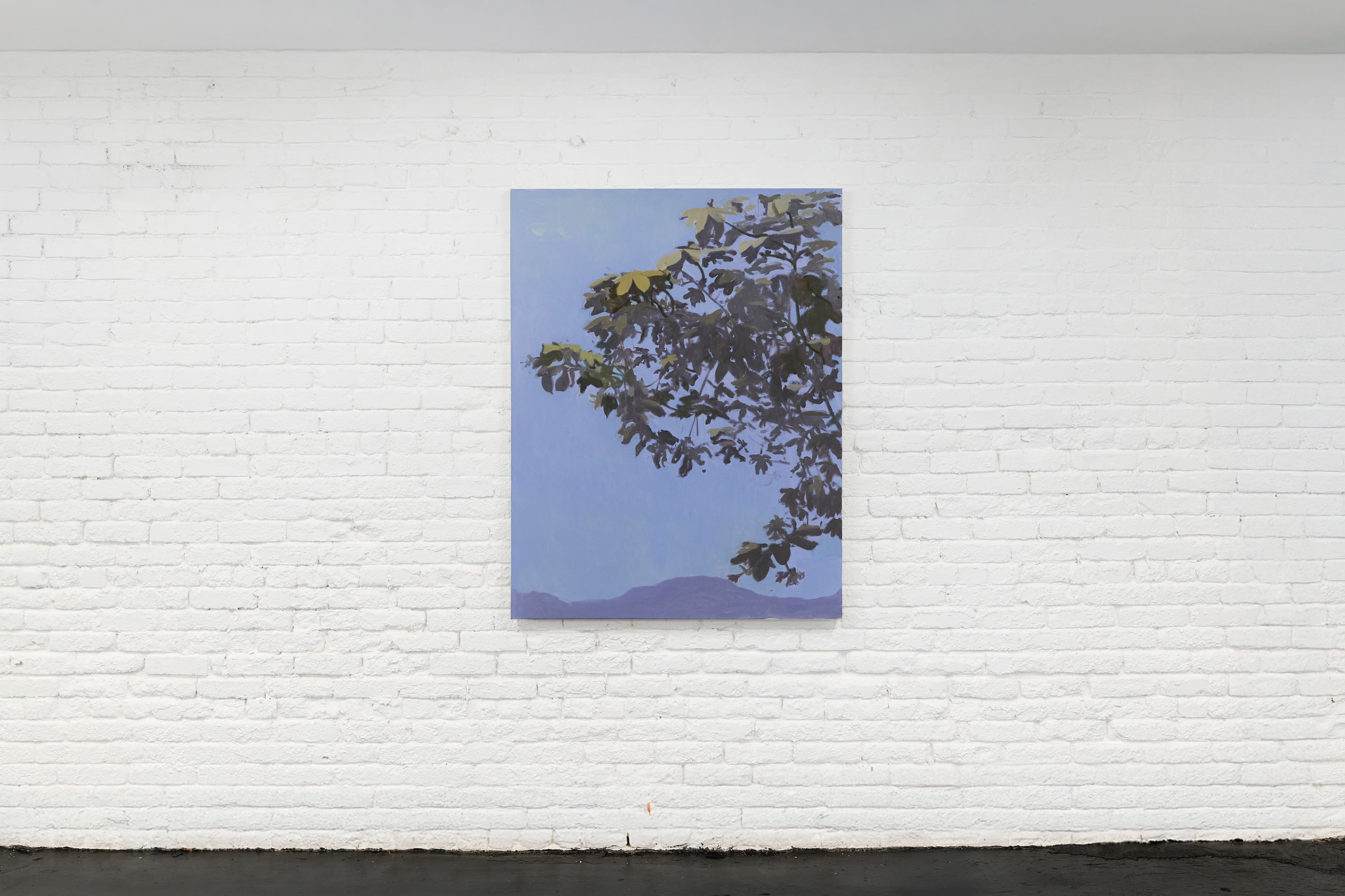 Installation image depicting works by Alejandro Sintura